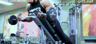 健身椅训练动作_健身椅推荐知乎_推荐健身椅