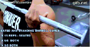 健身椅训练动作_推荐健身椅_健身椅推荐知乎