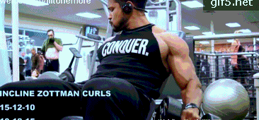 健身椅推荐知乎_健身椅训练动作_推荐健身椅