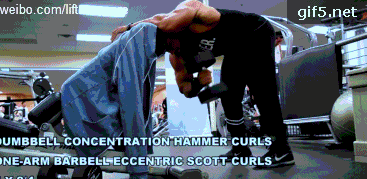 健身椅推荐知乎_推荐健身椅_健身椅训练动作