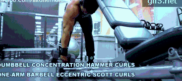 健身椅推荐知乎_健身椅训练动作_推荐健身椅