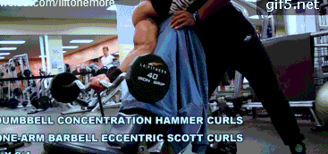 健身椅推荐知乎_推荐健身椅_健身椅训练动作