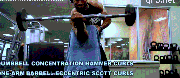 推荐健身椅_健身椅推荐知乎_健身椅训练动作