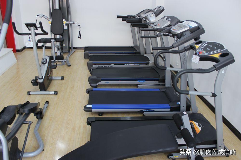 kaiyun下载app下载安装手机版 夏日炎炎，汗撒健身房，健身器材到底怎么用？