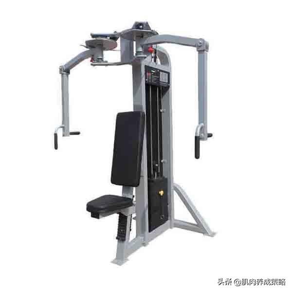 收腹用的运动器有什么_收腹运动机有效果吗_收腹运动机有用吗