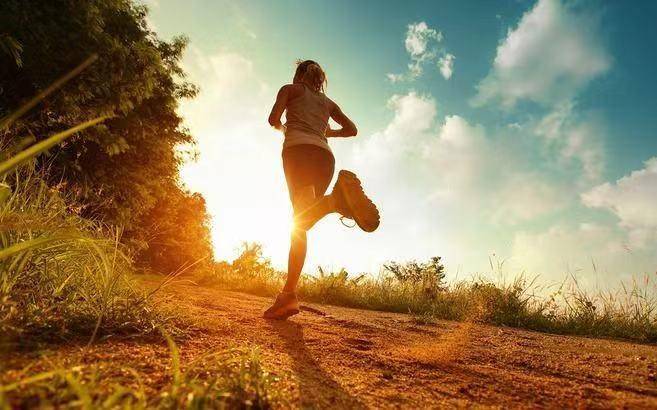 kaiyun体育 生命不息，运动不止，乐歌智能健身椅为健康加油助威