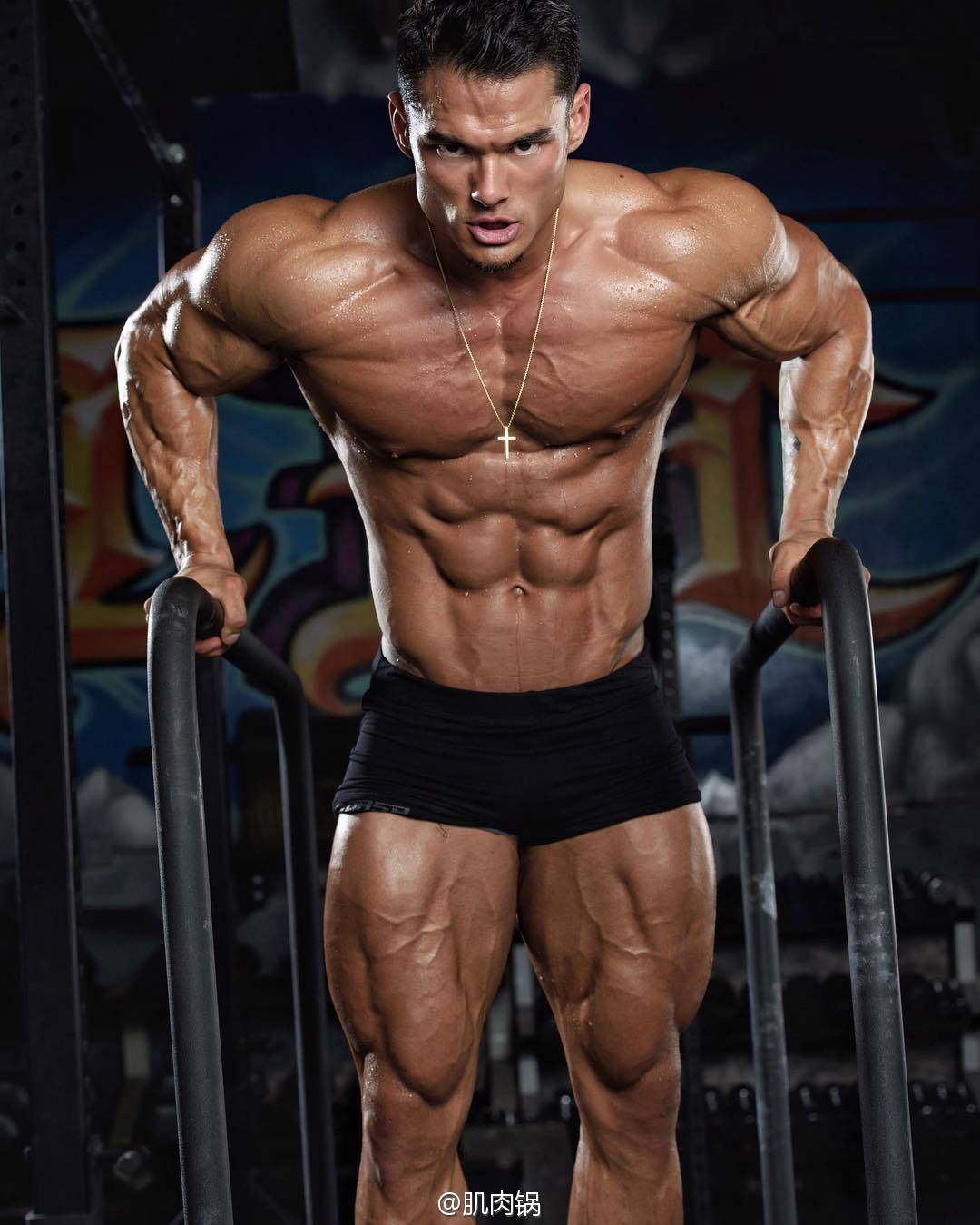 股四头肌训练椅_股四头肌训练椅注意事项_股四头肌训练椅安装步骤