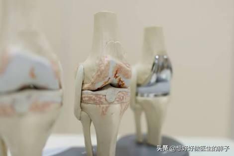 股四头肌训练椅安装视频_股四头肌训练椅安装步骤_股四头肌训练椅