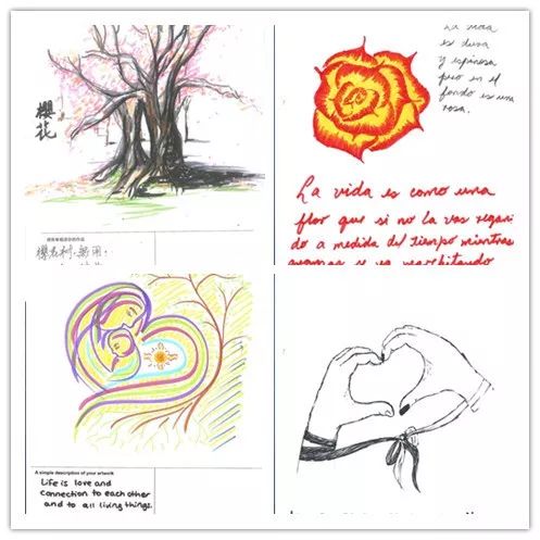 家用综合训练器 配重_家用综合训练器好不好_家用训练器材