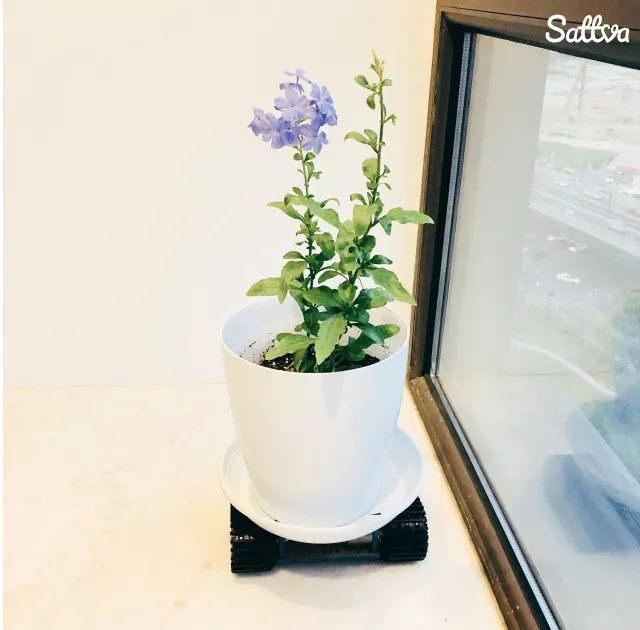 家用综合训练器好不好_家用综合训练器 配重_家用训练器材