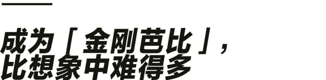 健身房的作用和功效_健身房锻炼全身的动作_你的身体是我的健身房