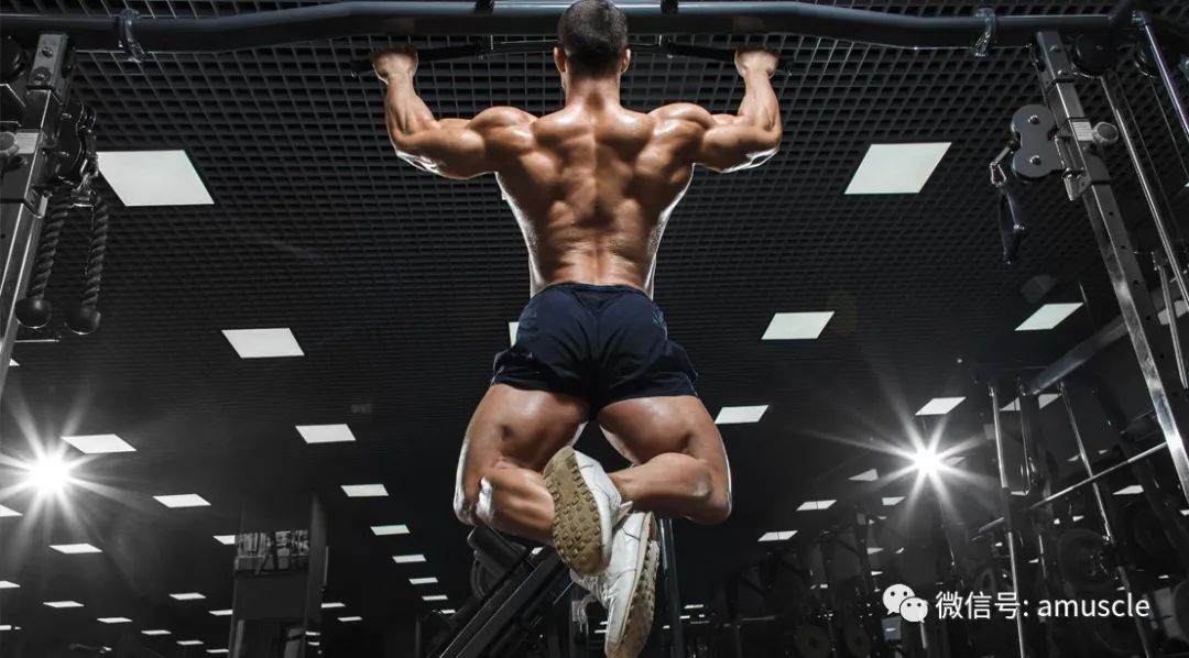 手臂做引体向上疼痛难忍_引体手臂不能完全放到_手臂做引体向上伸直就痛