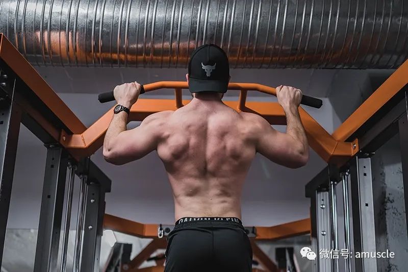 手臂做引体向上疼痛难忍_引体手臂不能完全放到_手臂做引体向上伸直就痛