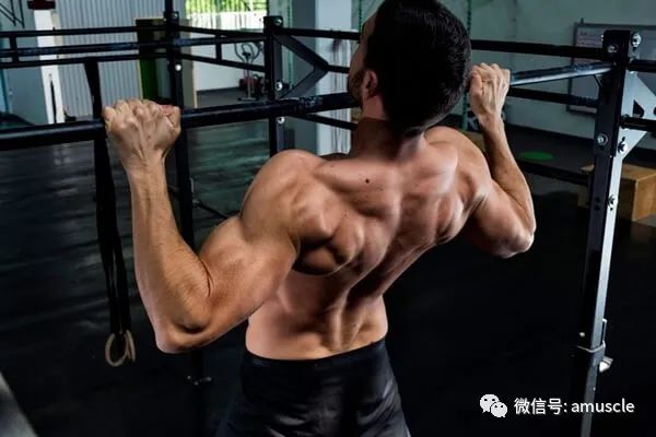 引体手臂不能完全放到_手臂做引体向上疼痛难忍_手臂做引体向上伸直就痛