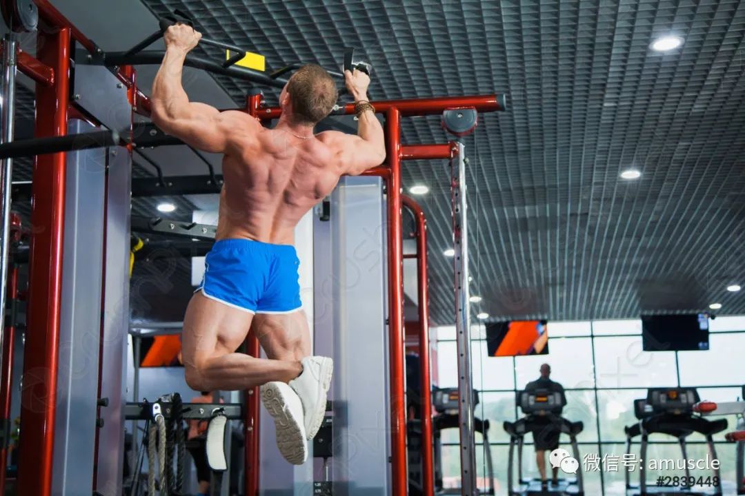 手臂做引体向上伸直就痛_引体手臂不能完全放到_手臂做引体向上疼痛难忍
