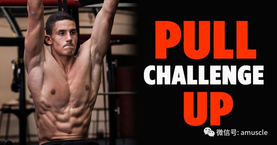 手臂做引体向上疼痛难忍_手臂做引体向上伸直就痛_引体手臂不能完全放到