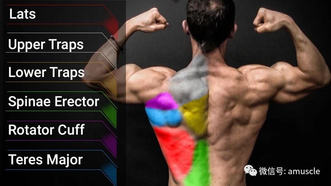 引体手臂不能完全放到_手臂做引体向上疼痛难忍_手臂做引体向上伸直就痛