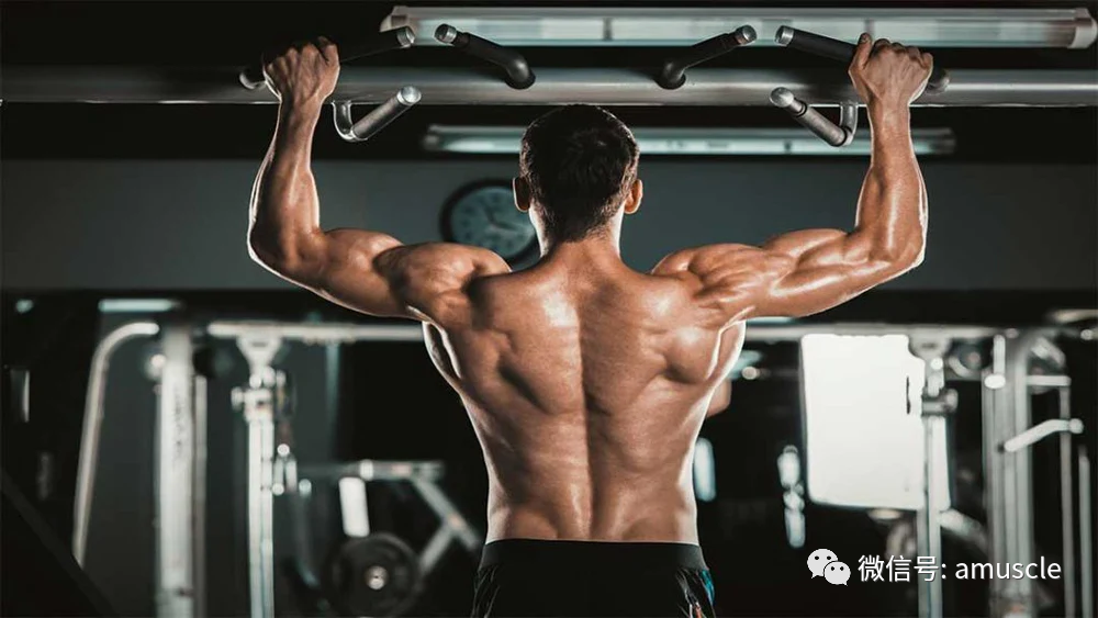手臂做引体向上伸直就痛_手臂做引体向上疼痛难忍_引体手臂不能完全放到