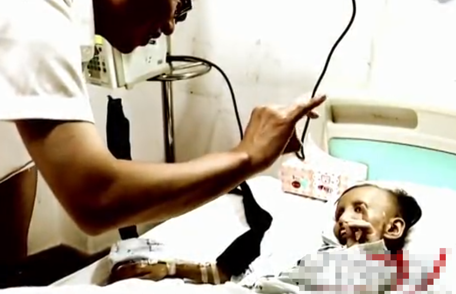 什么是身体机能_机身体是什么意思_身体机能是什么