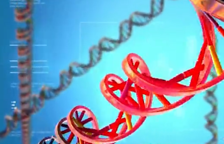 什么是身体机能_身体机能是什么_机身体是什么意思