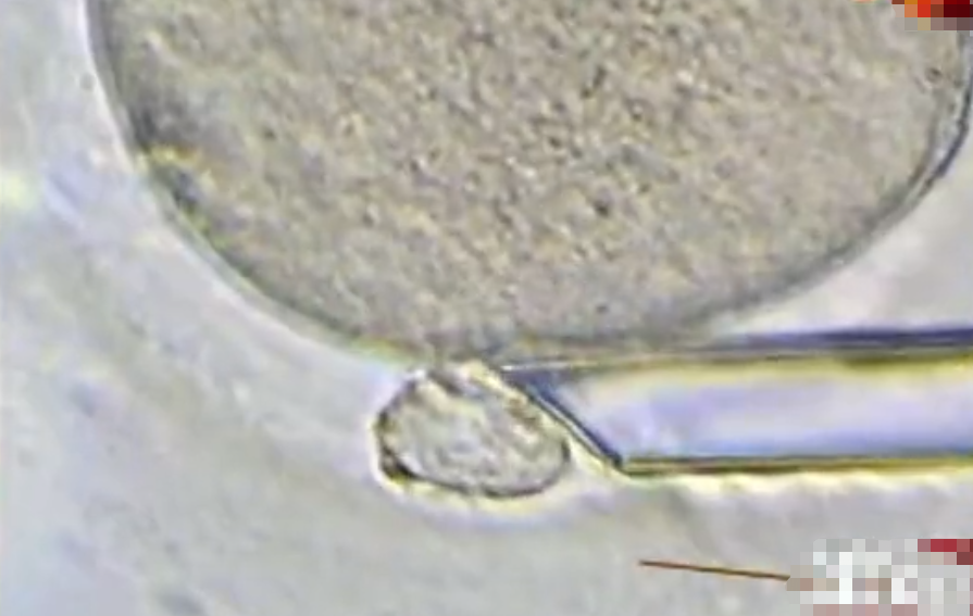 什么是身体机能_机身体是什么意思_身体机能是什么