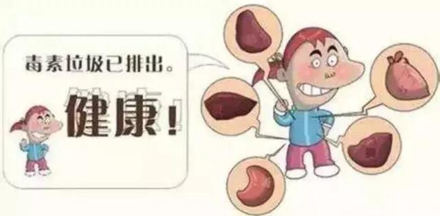 身体机能是啥_什么是身体机能_机身体是什么意思