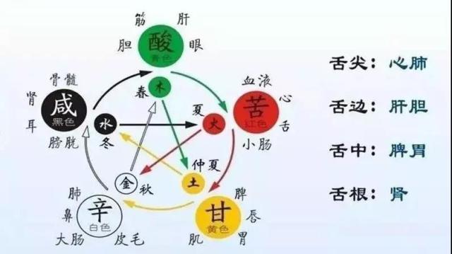机身体是什么意思_什么是身体机能_身体机能是啥