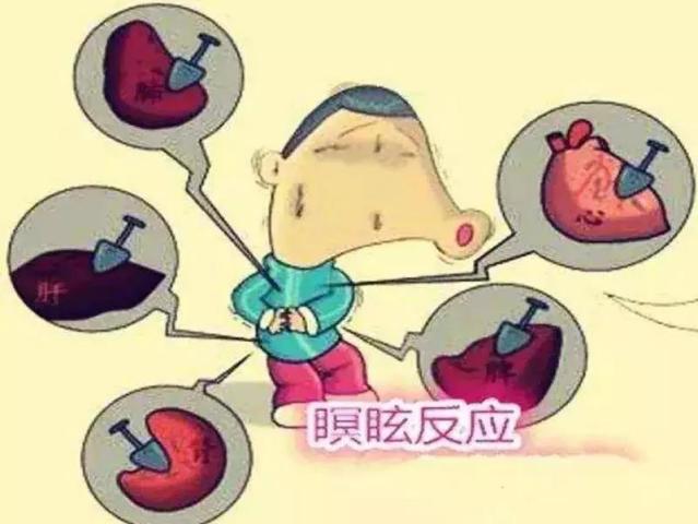 身体机能是啥_机身体是什么意思_什么是身体机能