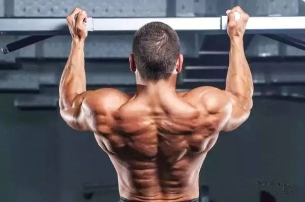 引体手臂不能完全放到_引体手臂不能完全伸直_引体练手臂