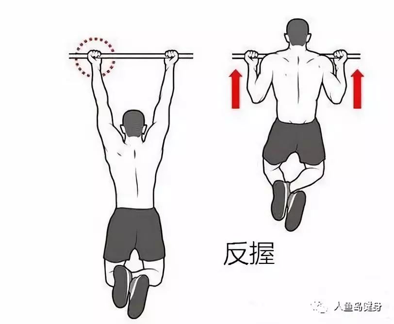 引体手臂不能完全放到_引体手臂不能完全伸直_纯靠手臂引体向上