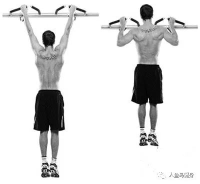 引体手臂不能完全放到_引体手臂不能完全伸直_纯靠手臂引体向上