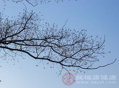 kaiyun官方网app下载app 冬季健身的好处 冬季怕冷吃这些好