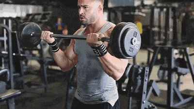 kaiyun下载app下载安装手机版 几种常见的锻炼肱四头肌的器械