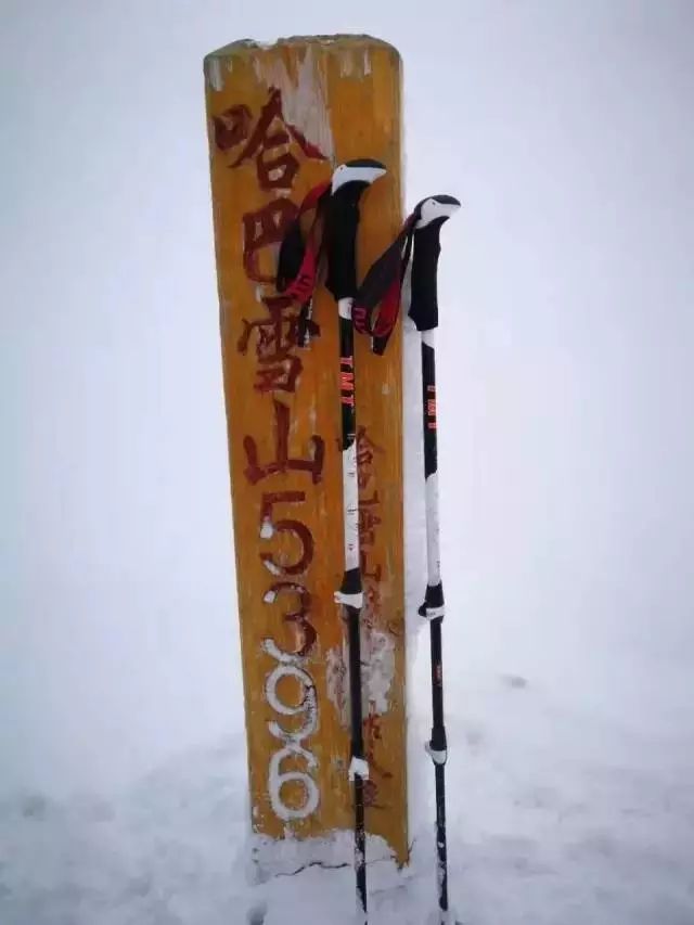 tmt的健身手套好吗好吗_健身手套作用_健身手套知乎