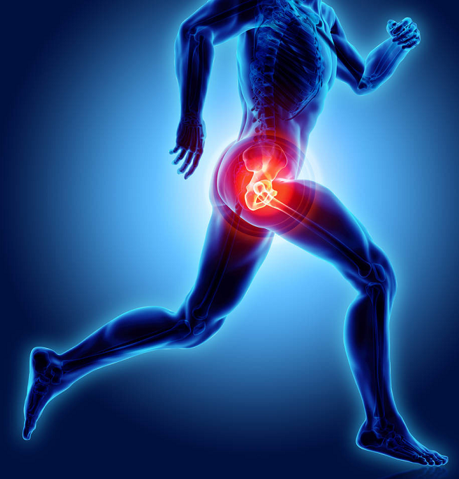 髋关节训练器_髋关节坐姿_髋关节训练椅