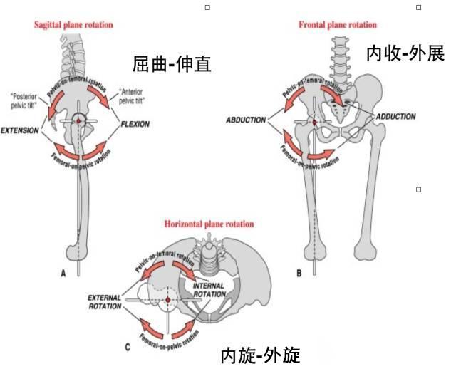 髋关节训练器_髋关节坐姿_髋关节训练椅
