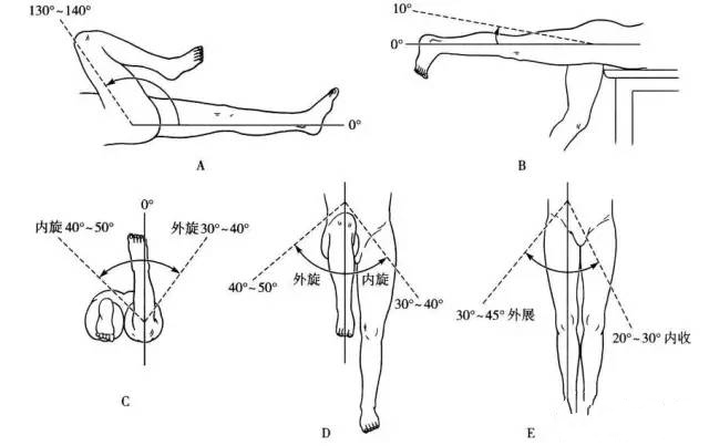 髋关节坐姿_髋关节训练器_髋关节训练椅