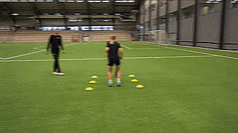 练反应速度的游戏_练反应速度的小游戏_练反应速度的儿童游戏