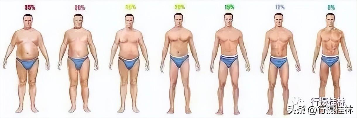 腹部锻炼动作下腹疼痛_下腹部动作训练_锻炼下腹部的动作