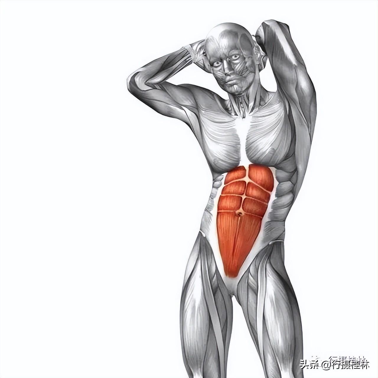 腹部锻炼动作下腹疼痛_锻炼下腹部的动作_下腹部动作训练