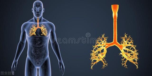 长期做有氧运动的好处_经常做有氧运动害处_长期做有氧运动的好处与坏处
