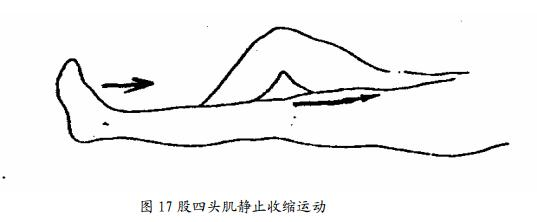 股四头肌训练椅使用方法_股四头肌训练椅_股四头肌训练椅安装视频