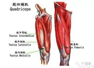 开yun体育官网入口登录app 男人最强肌肉股四头肌训练计划5个动作练出超强大腿