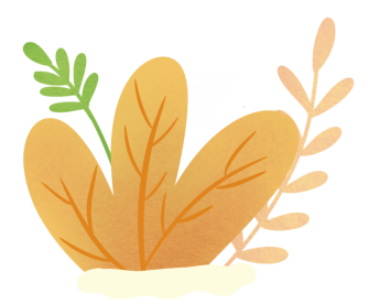 髋关节坐姿_髋关节训练椅_髋关节训练椅说明书