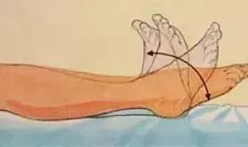 髋关节训练椅_髋关节训练椅说明书_髋关节坐姿