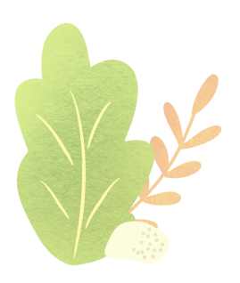 髋关节训练椅_髋关节训练椅说明书_髋关节坐姿