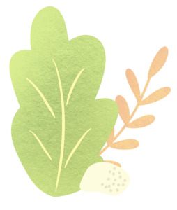 髋关节训练椅_髋关节训练椅说明书_髋关节坐姿