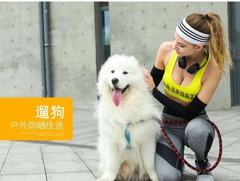 性价比家用跑步机_家用跑步机什么牌子好又实惠_经济实惠的家用跑步机