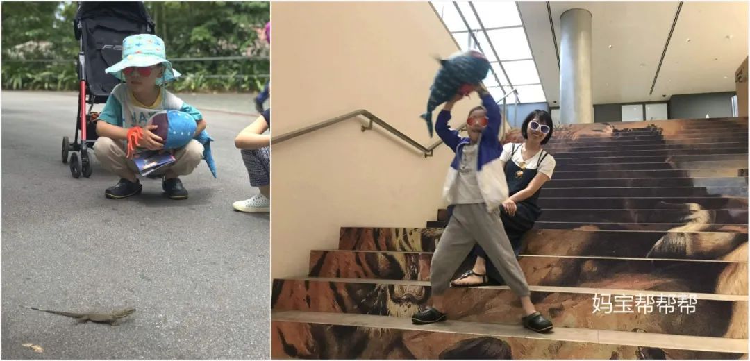 性价比家用跑步机_家用跑步机什么牌子好又实惠_经济实惠的家用跑步机