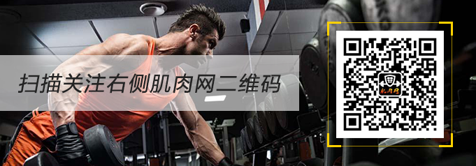 髋关节训练器_髋关节训练椅_髋关节坐姿